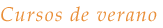 Cursos de verano